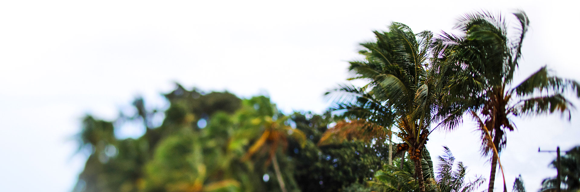 Επικοινωνία